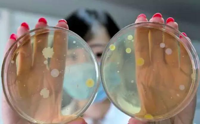 网红宣传化妆品骗局,网红卖的化妆品骗局是真的吗