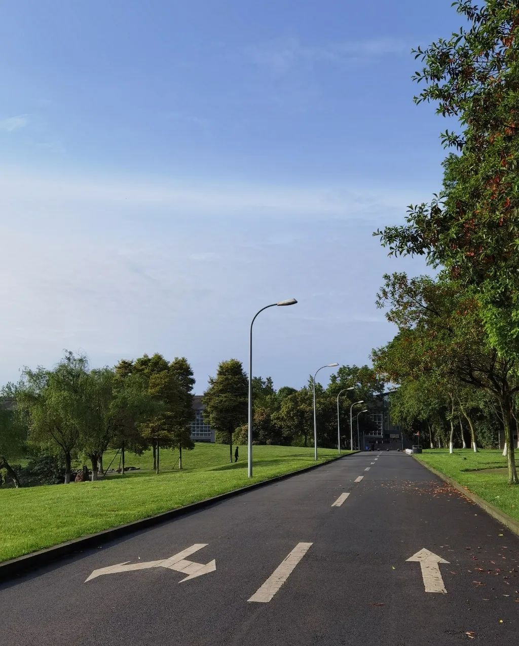 成都东软学院青城山下,东软青城山校区