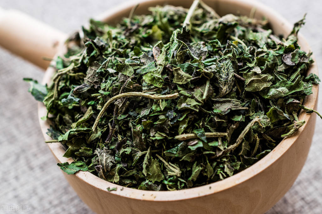 治寒冷性荨麻疹的中草药,一种能治荨麻疹的草药