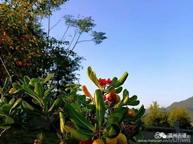 瓯江山水美如画,浙江瓯江旅游景点大全