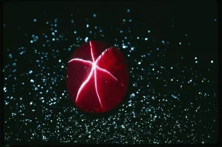 深扒珀莱雅红宝石,深扒那些不简单的红宝石