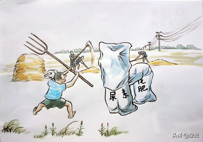 麦收农具,古老麦收农具大全