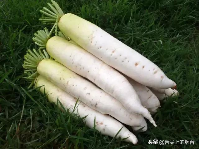 你知道拔罐后，会怎样么？真的太吓人了，看看吧！