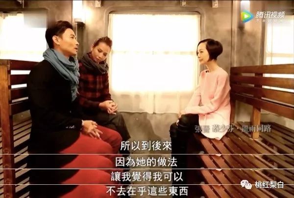 香江美人传奇李嘉欣,香江美人传奇洪欣