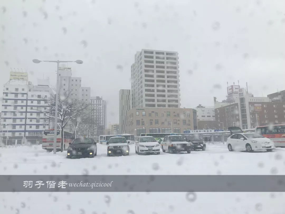 日本10天自由行费用北海道,东京北海道5日自由行攻略