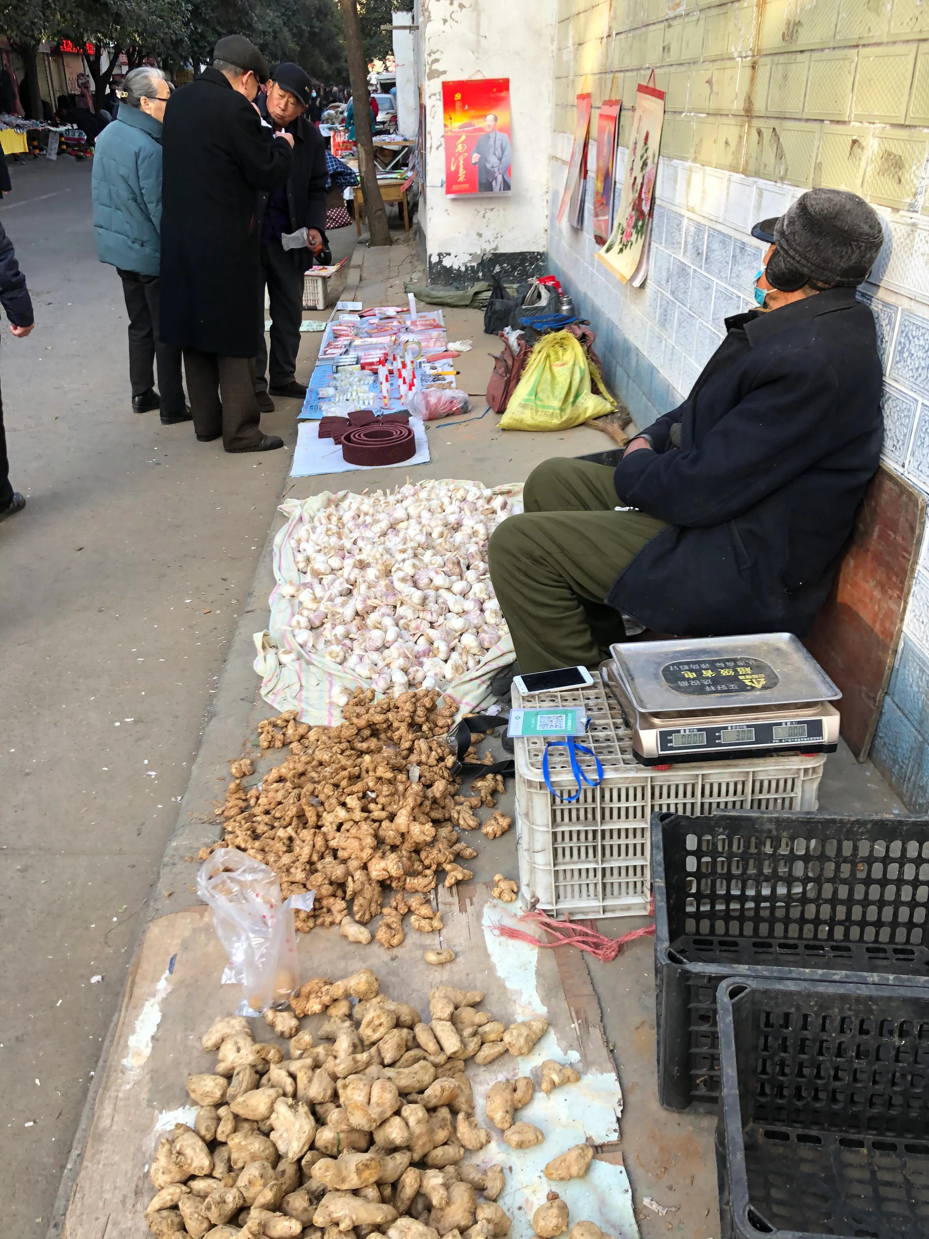 平顶山河滨公园旅游攻略,平顶山森林公园游记