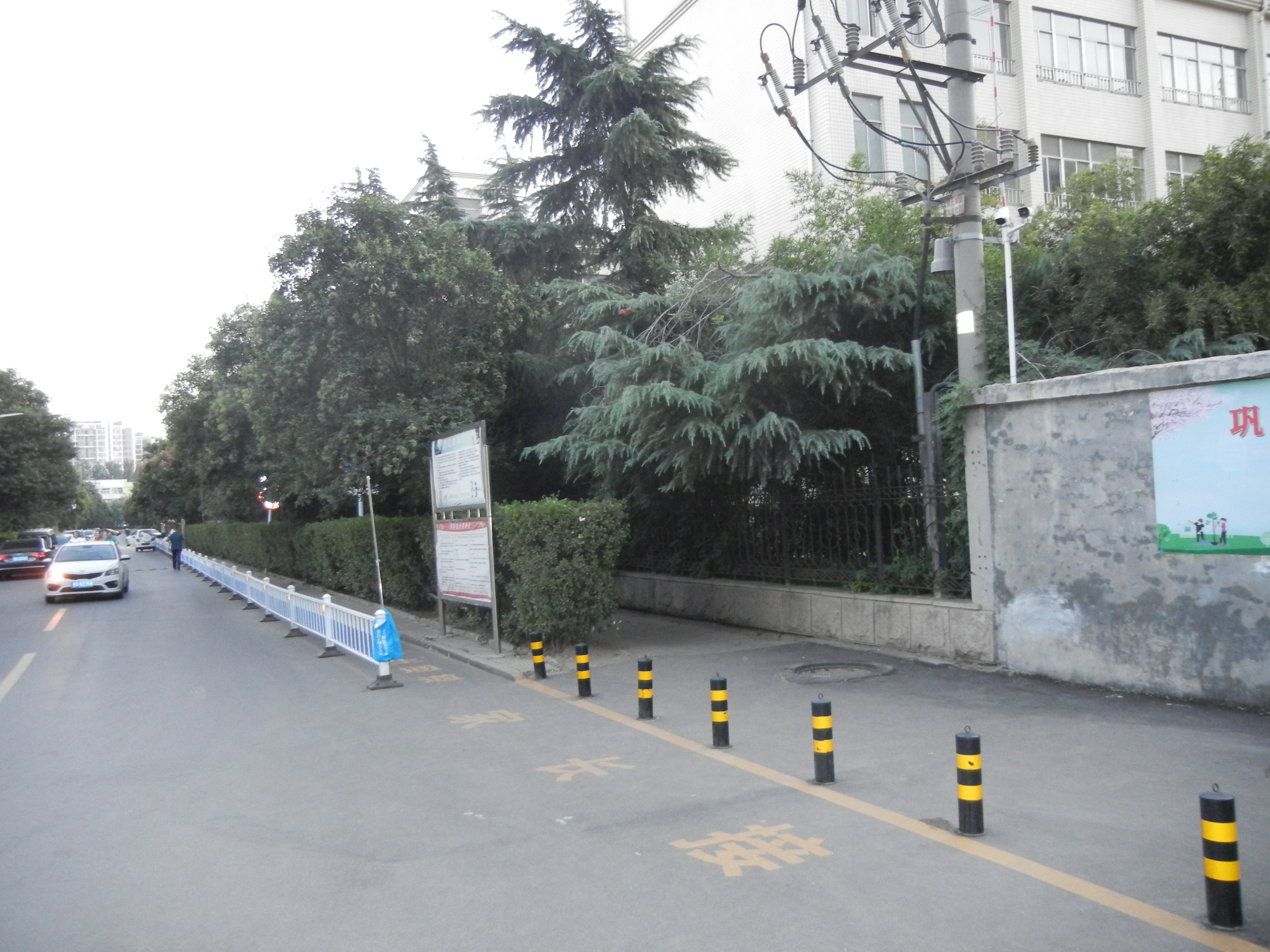 潍坊中新双语学校排名,潍坊中新双语小学排名