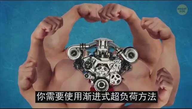 怎么练手臂的肱三头,怎么才能练出手臂的肱三头肌