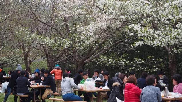 日本东京旅游必吃的美食,日本东京特色美食攻略