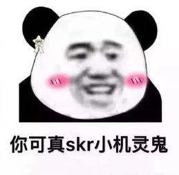 派币私钥忘了怎么办,私钥丢了怎么找回来