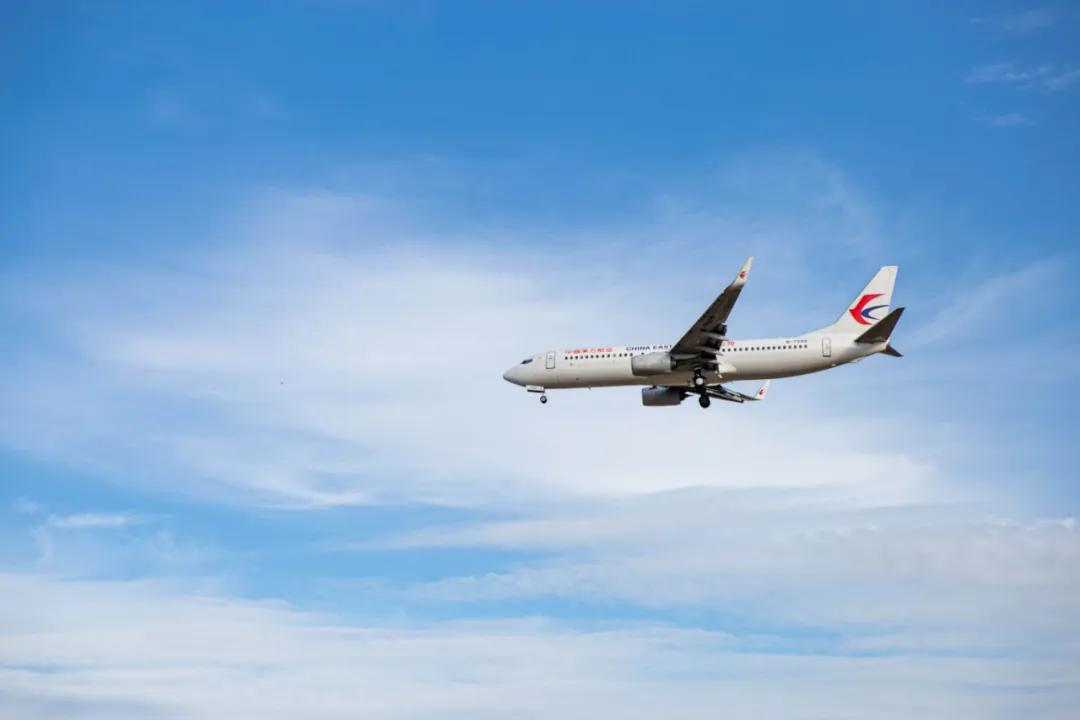 在空港花田里怎么拍照好看,每张都是屏保