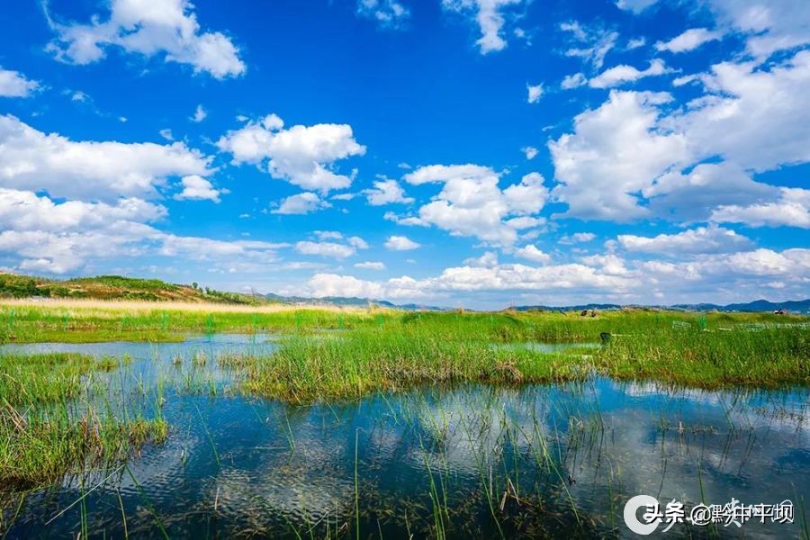 贵州草海简介,航拍贵州草海视频