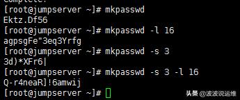 linux中的passwd文件在哪,linux中passwd怎么输入