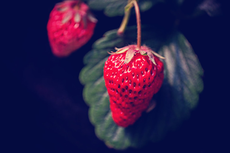 冰冻冬天可以吃的水果,最适合冻起来吃的几款水果