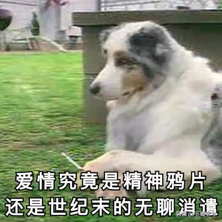 冷门护肤大牌有哪些,护肤品牌哪些好