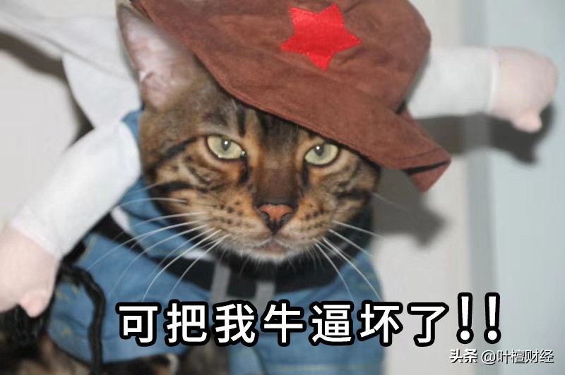 这座奇葩城市房价大涨的勇气哪来的？