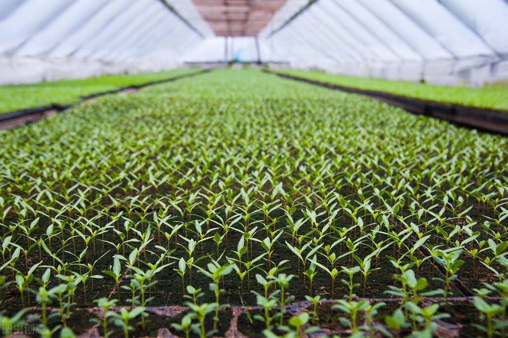 2019年十堰重点开工项目,湖北十堰2018年ppp项目