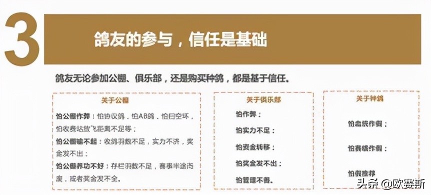 鍝佺墝鎴樼暐宸ュ叿,鍝佺墝鎴樼暐涓冪姝﹀櫒
