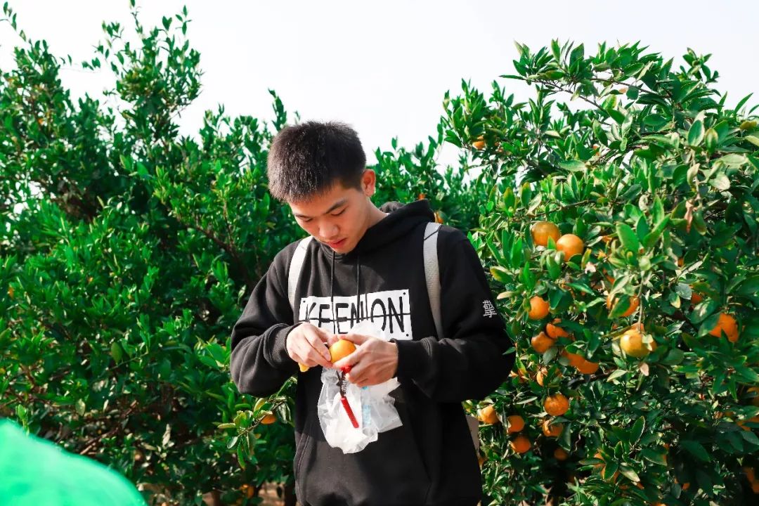 凝心聚力共创辉煌团建总结,凝心聚力激扬青春主题团建活动