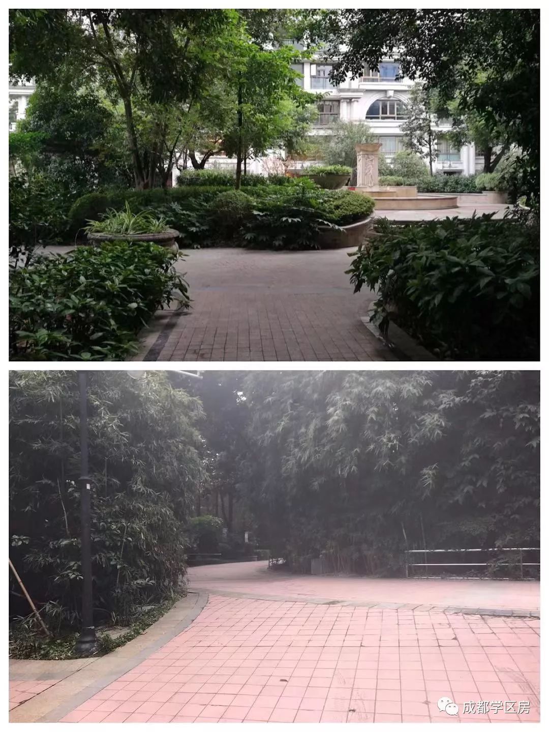 锦晖小学在成都市排名,成都锦晖小学的最新排名