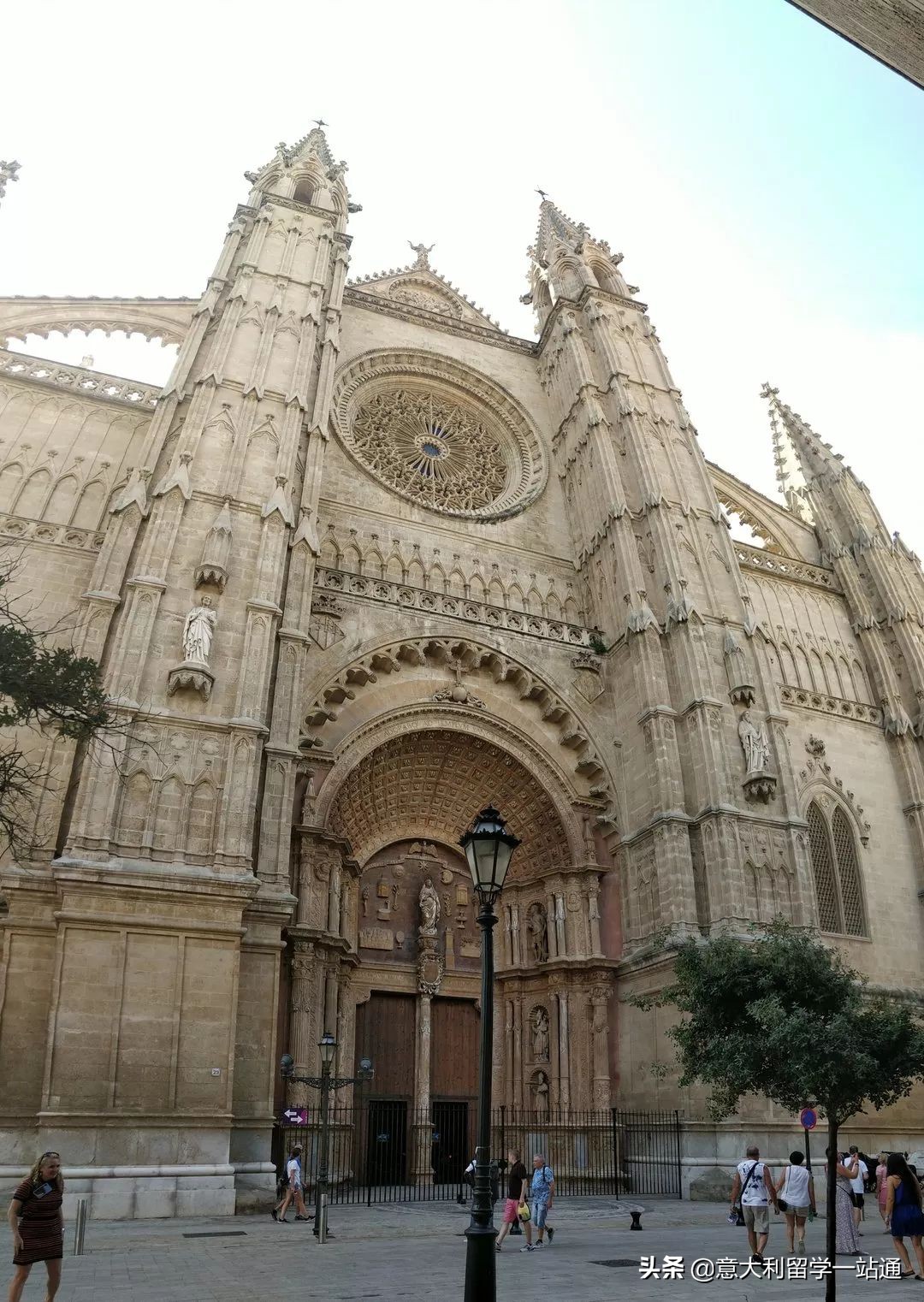 森淼学习意大利语有哪些校区,森淼意大利学校