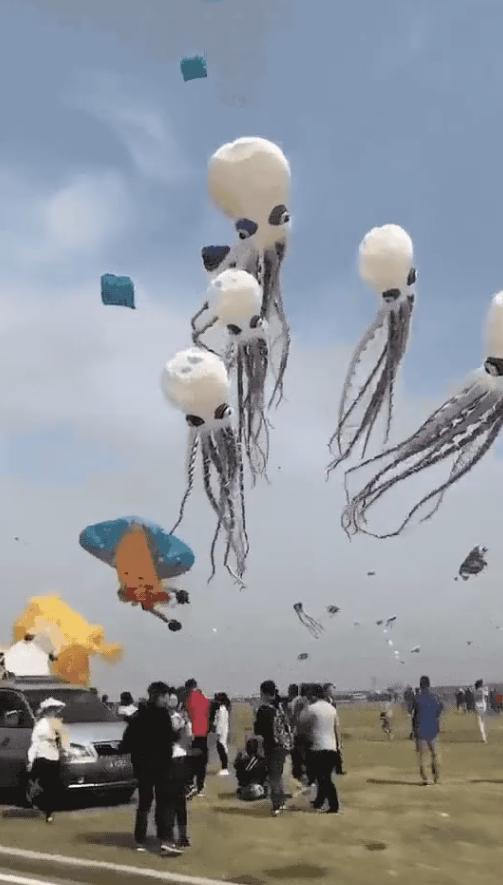 你觉得安徽人如何,在你眼中的安徽人怎么样