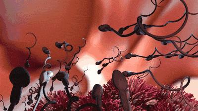 年龄大了精子数量会减少吗,精子数量怎么突然下降了