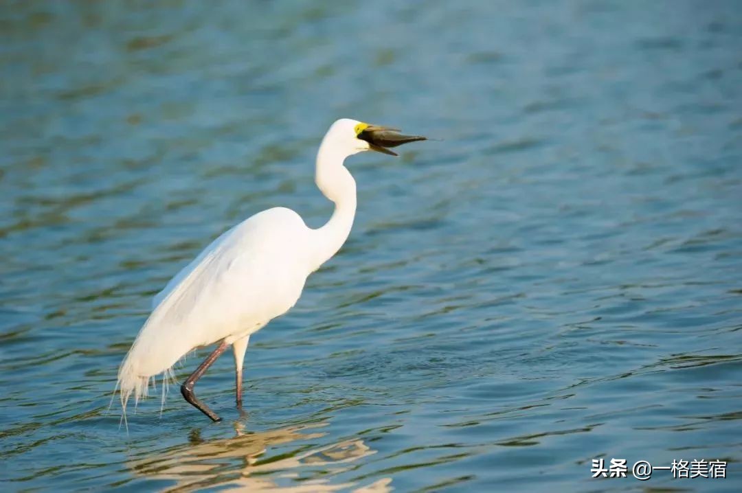 厦门五日游必去十大景点有哪些,厦门一日游必去的五个景点