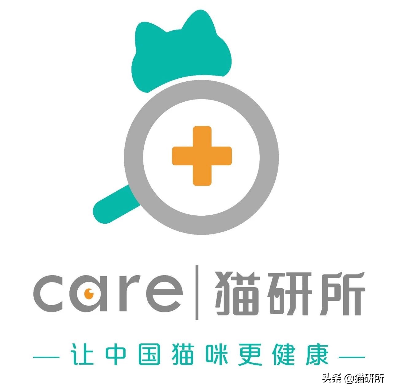 玄学靠谱还是科学靠谱,女人养猫与玄学有关吗