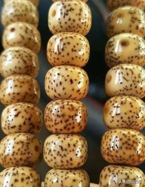 星月菩提奶油黄是什么,鸡油黄星月菩提盘到最后什么颜色