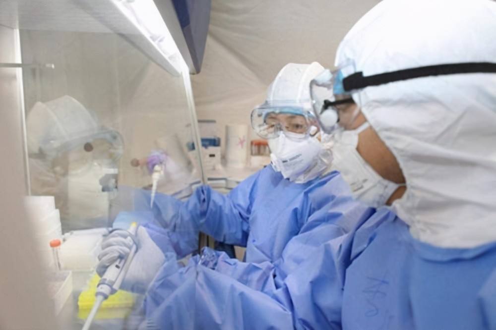 辉瑞疫苗研发了多久,辉瑞疫苗研发时间