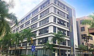 深圳布谷鸟信息科技有限公司,布谷鸟科技有限公司简介