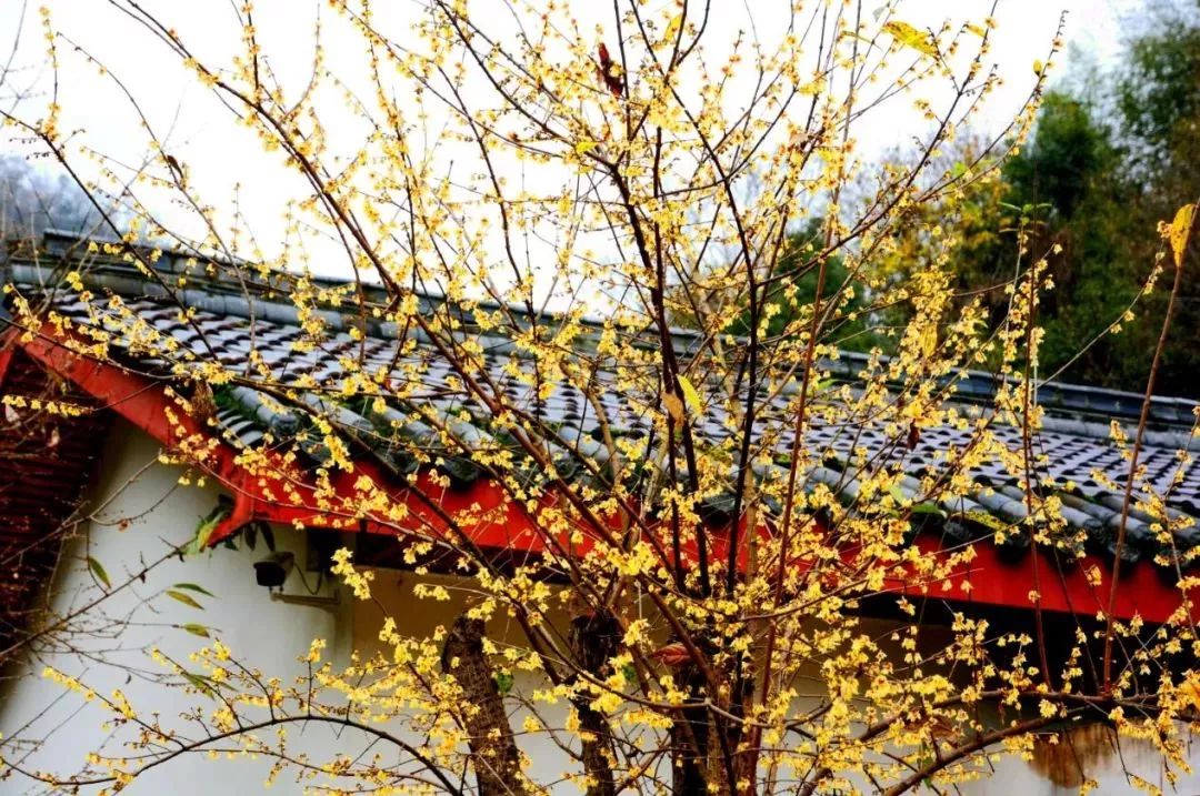 十堰旅游吃什么,十堰又能吃又能玩的地方