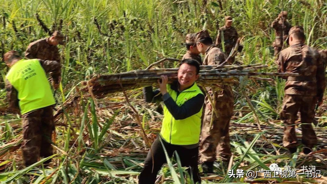 旱藕是啥“藕”?这里的人靠种它脱了贫