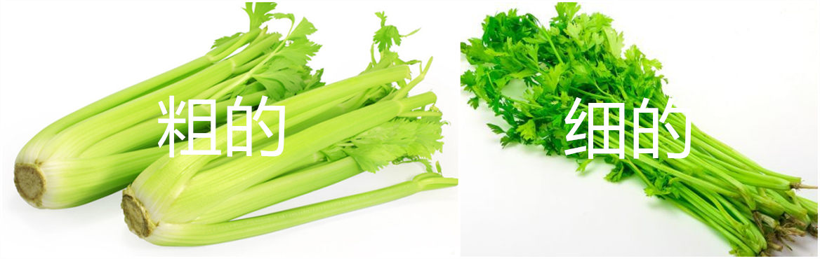购买芹菜细梗好还是粗梗好,芹菜一般买多少合适