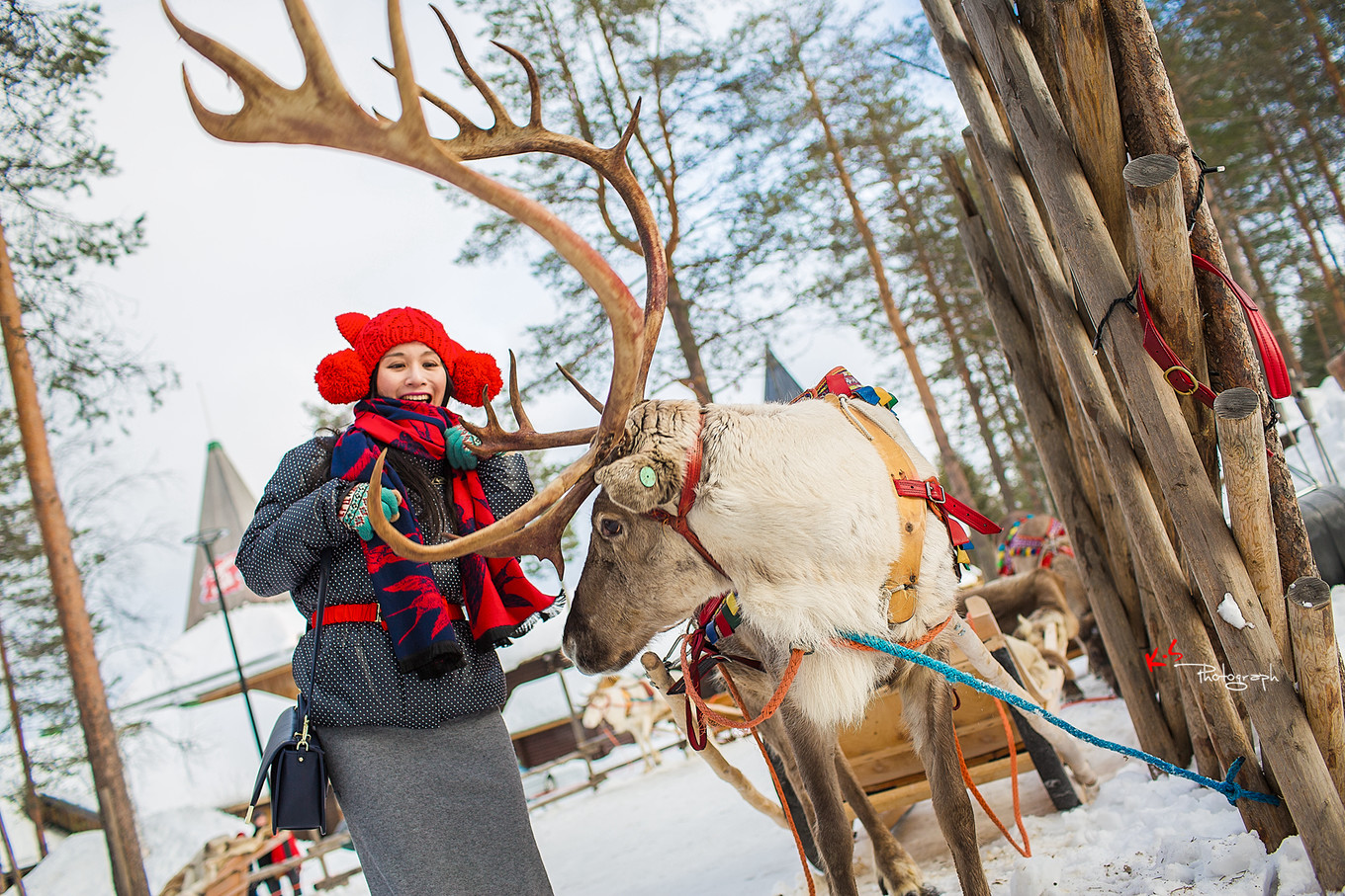 果小姐的慢生活之冰雪奇缘