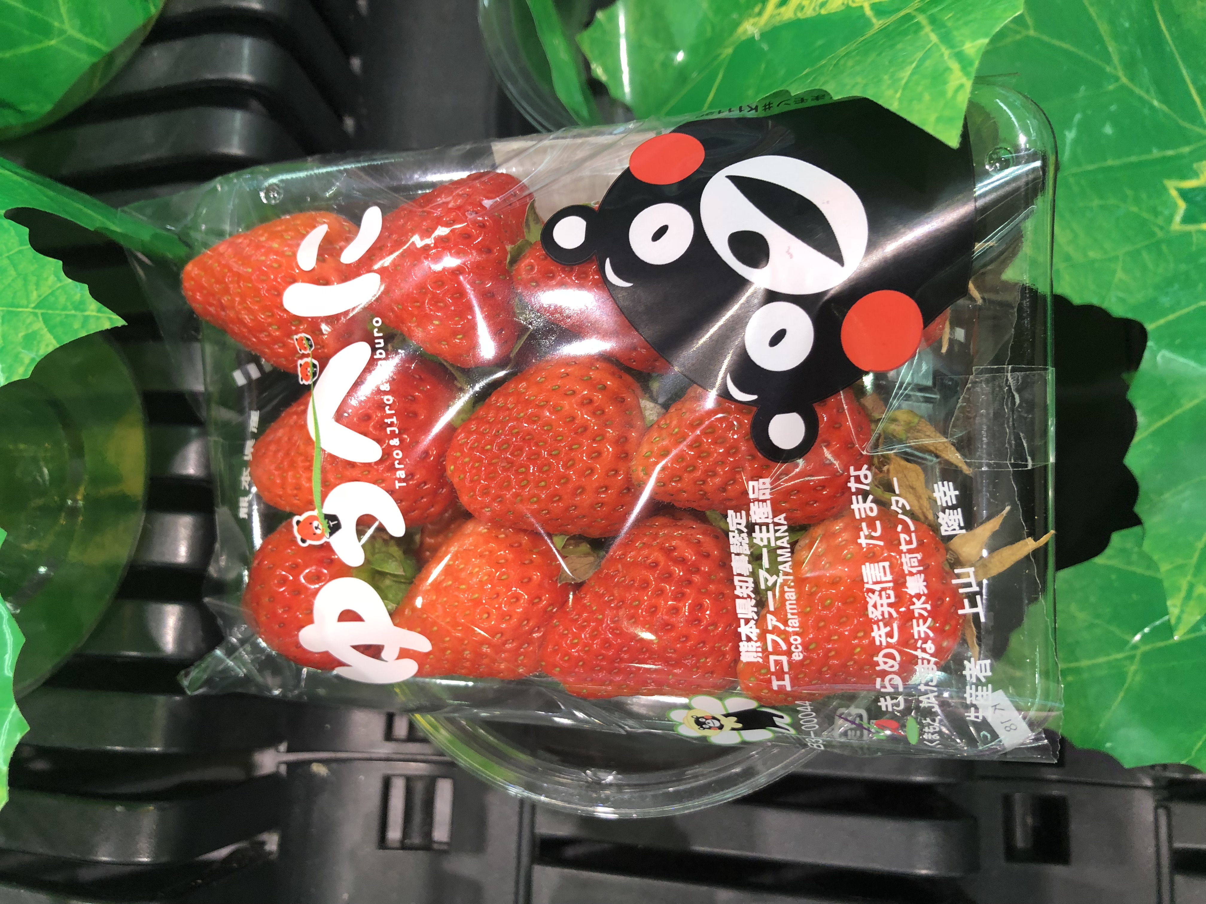 到日本必买的日本电器,到日本必买的东西