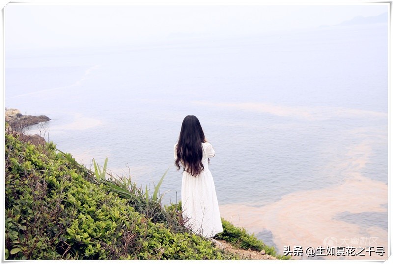 深圳市杨梅坑美人鱼拍摄基地,深圳大鹏杨梅坑美人鱼拍摄地点