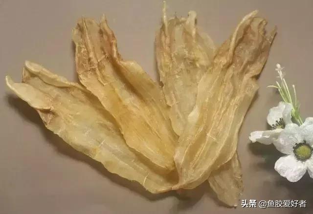 花胶的说法,花胶疑问