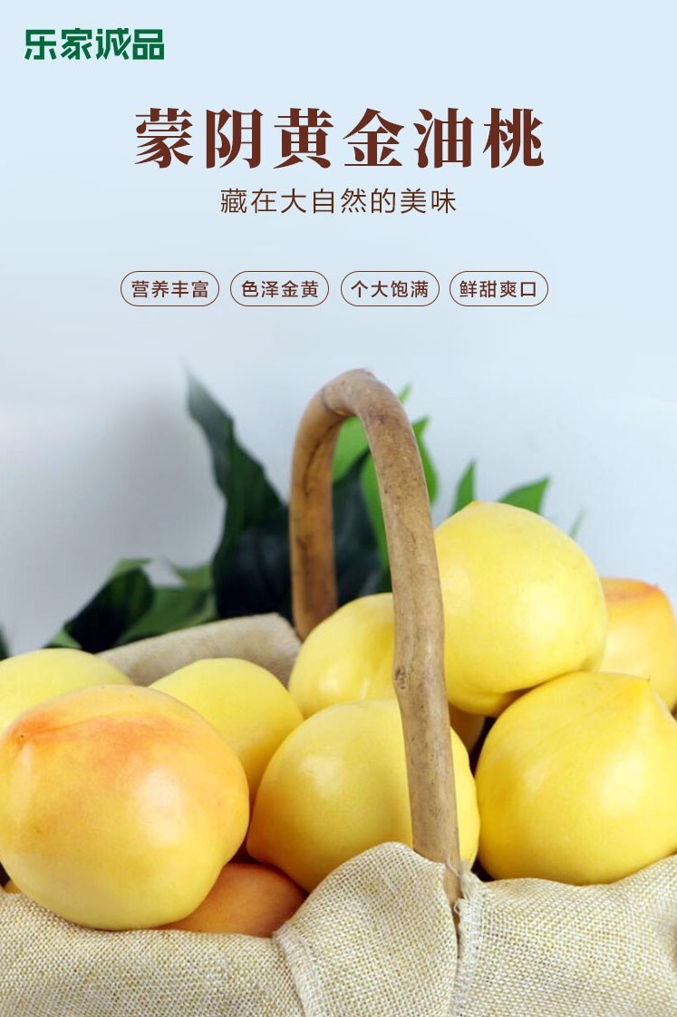 来自大山深处的馈赠，乐家诚品蒙阴黄金油桃清鲜上市