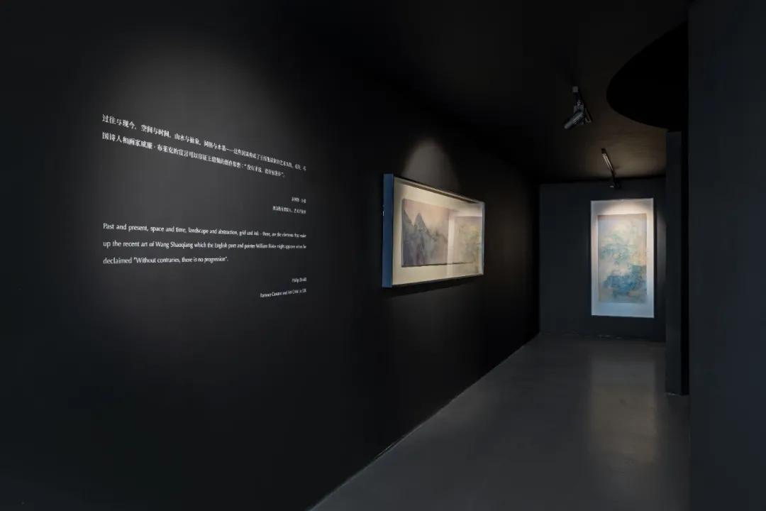 王绍强双年展,王绍强作品展