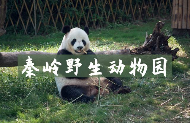 西安景点免费开放最新通知,西安秦岭自驾一日游免费景点