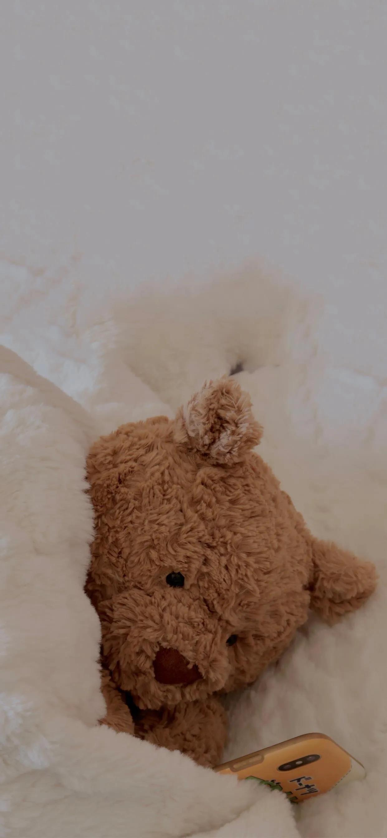 巴塞罗那熊4k壁纸,巴塞罗那熊高清手机壁纸