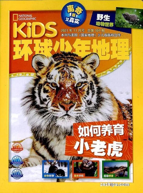 如何订阅高端杂志,杂志在哪里订阅最好