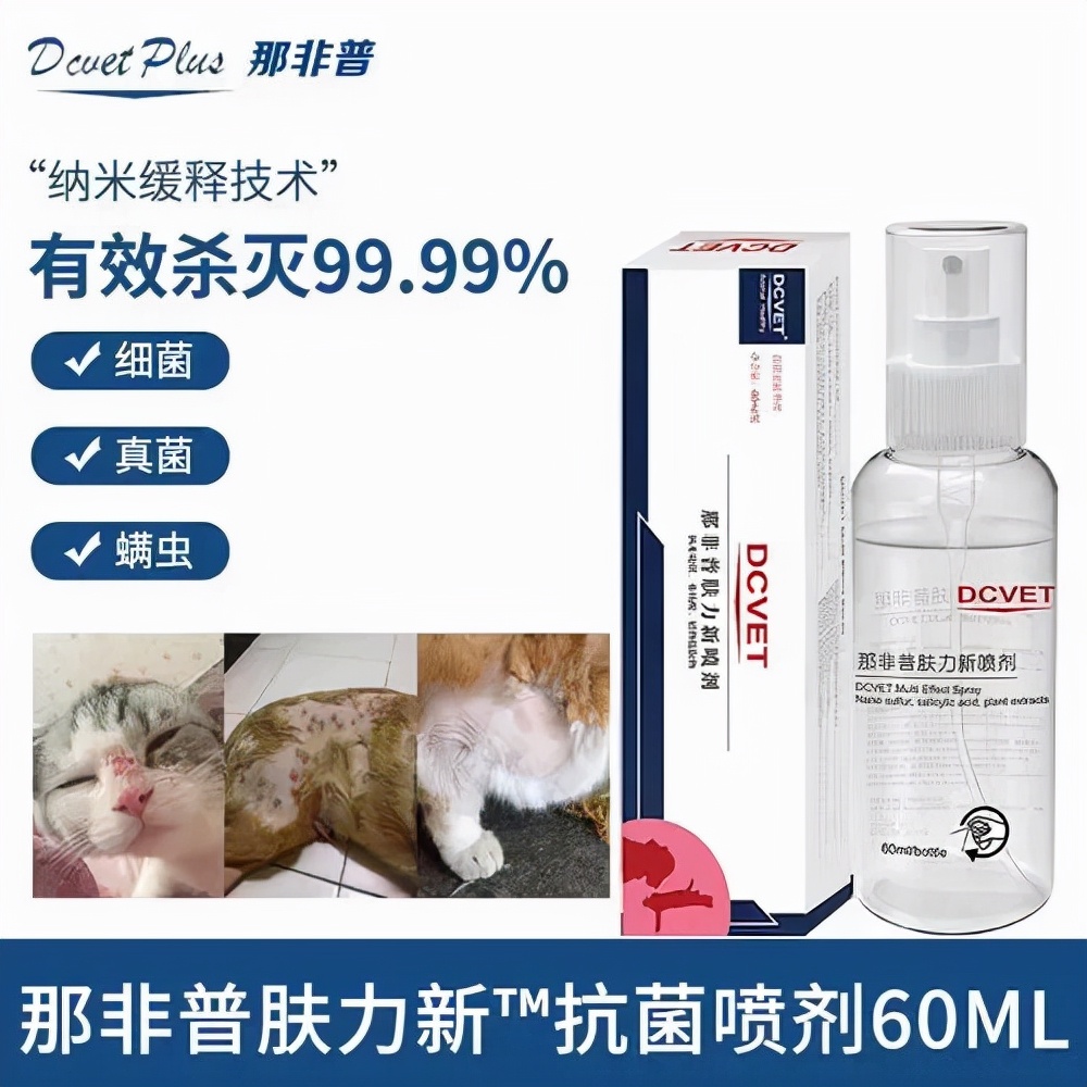 猫狗必备的药,收藏必备药品