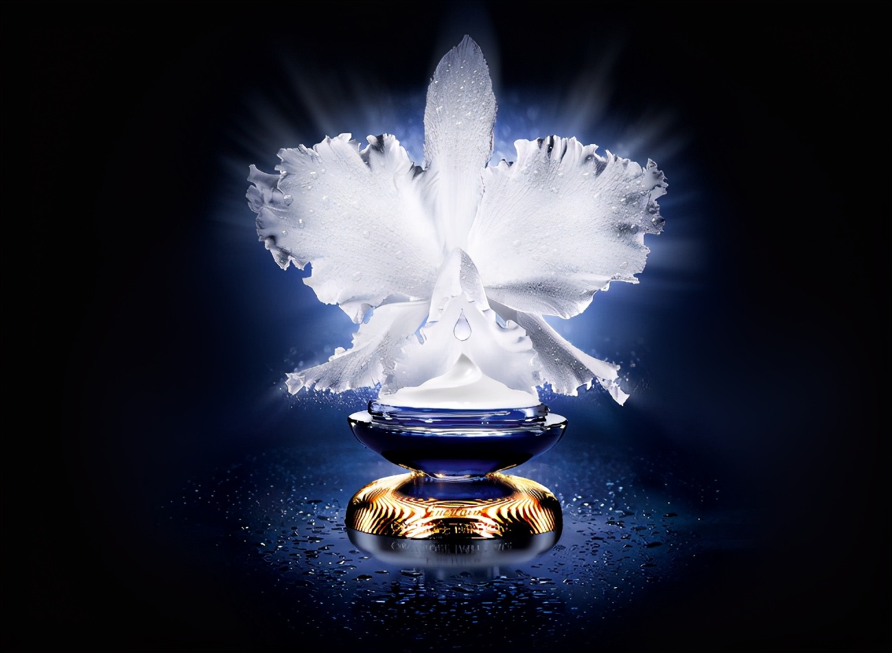 法国娇兰代言人miya,法国娇兰所有代言人