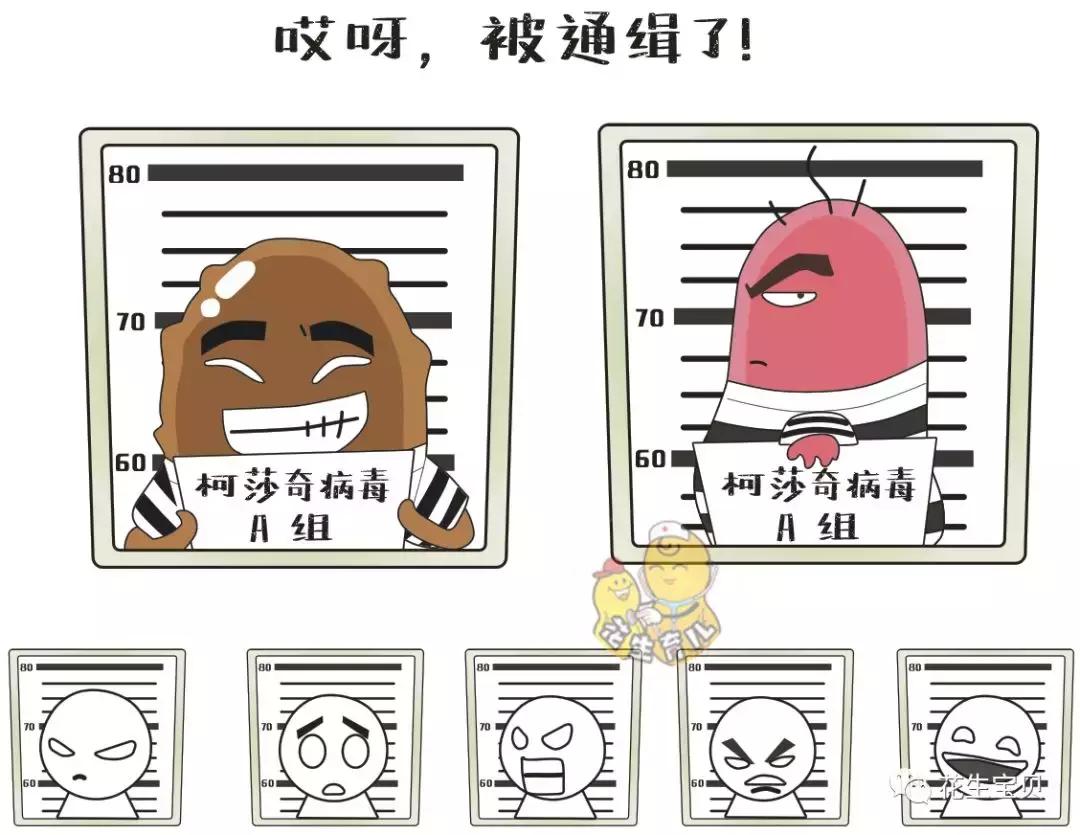 手足口疾病预防知识,手足口疾病预防方法