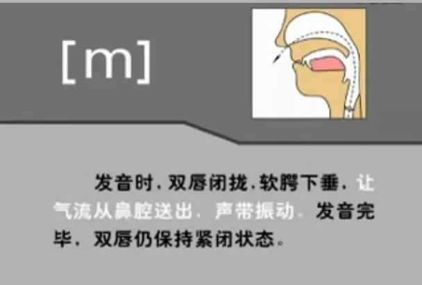 英语音标发音表48个音标正确读法,英语干货48个音标快速记忆法下