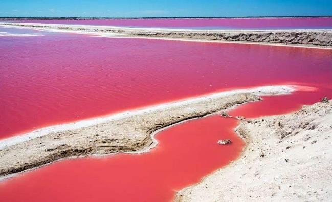 世界上粉色海滩,世界上的粉色沙滩在哪