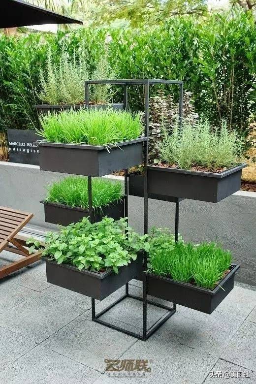 怎么样能纸上种菜,在家种菜可以做什么